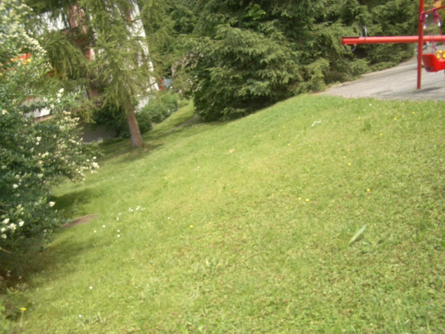 mariëtte nico piratenfrass 246.jpg